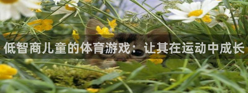 中欧体育最新地址：低智商儿童的体育游戏：让其在运动中成长