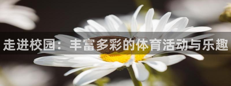 中欧体育平台：走进校园：丰富多彩的体育活动与乐趣