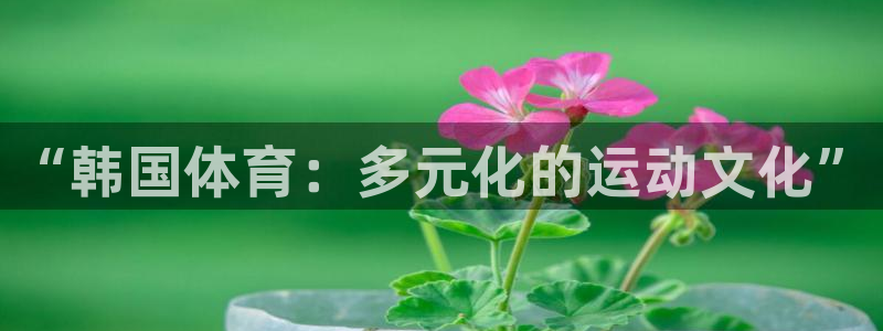 kok中欧体育：“韩国体育：多元化的运动文化”