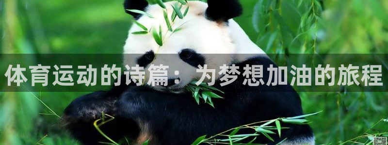 kok新版中欧体育：体育运动的诗篇：为梦想加油的旅程