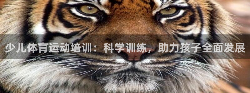 中欧体育网页登录：少儿体育运动培训：科学训练，助力孩子全面发展