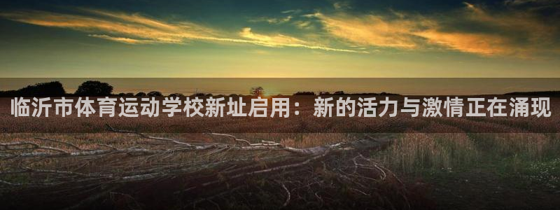 zoty中欧体育平台：临沂市体育运动学校新址启用：新的活力与激情正在涌现