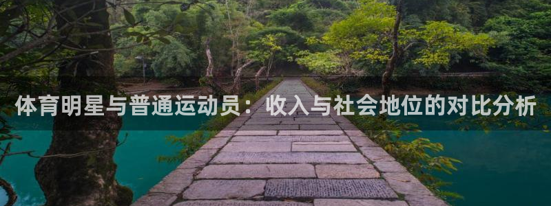 中欧体育网址：体育明星与普通运动员：收入与社会地位的对比分析
