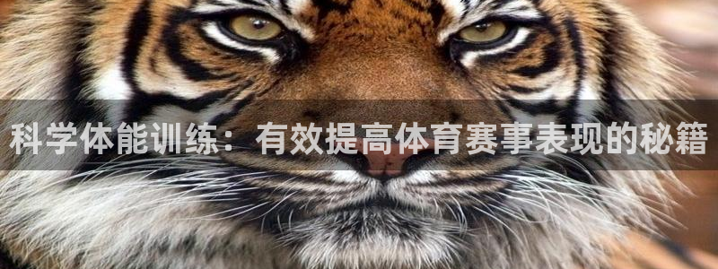 中欧体育网页版：科学体能训练：有效提高体育赛事表现的秘籍